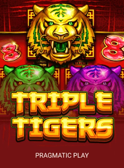 ttk66 ttk66